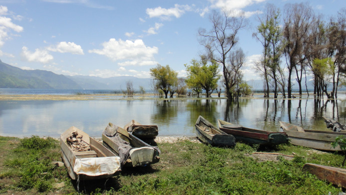 tx5-18-guatemala-0705