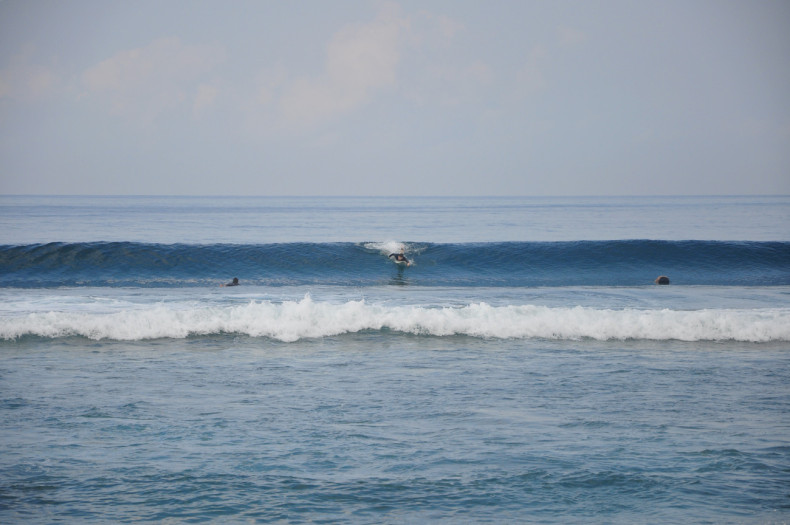 DSC_1835