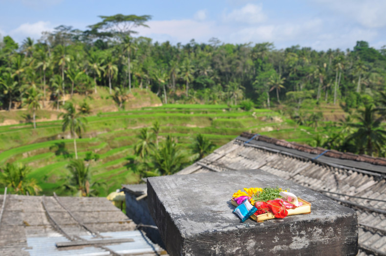 Religious Offering at rice terrace in Ubud, Indonesia