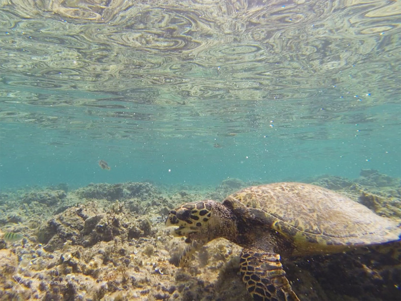 gili-trawangan-22