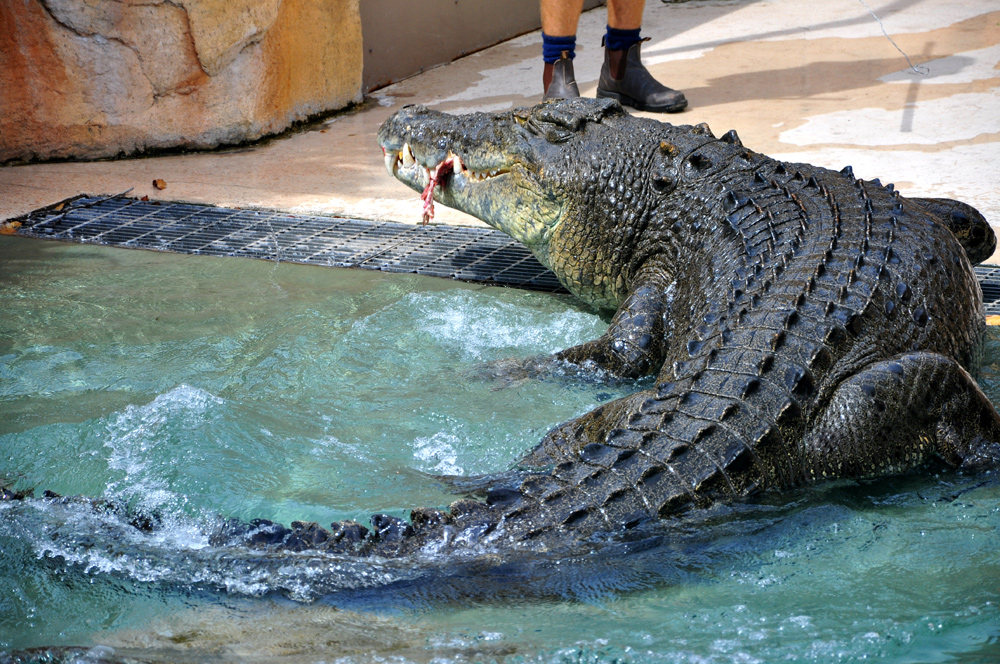 Darwin – Australia’s Top End