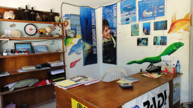tx5-17-belize-0143