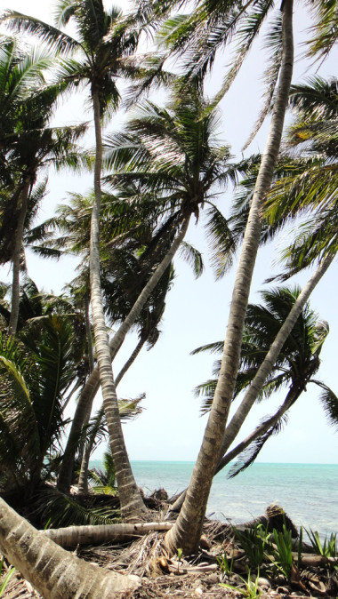 tx5-17-belize-0184