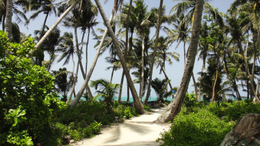 tx5-17-belize-0187
