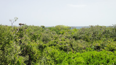 tx5-17-belize-0192