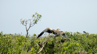 tx5-17-belize-0198