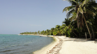 tx5-17-belize-0201