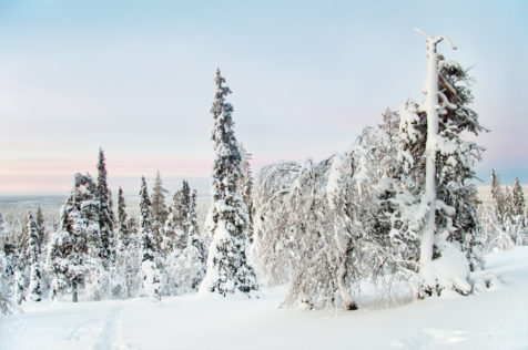 Zu Silvester in Finnland