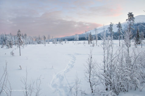 Zu Silvester in Finnland