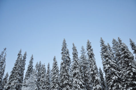 Zu Silvester in Finnland