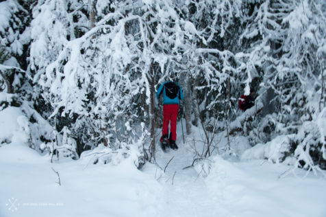 Zu Silvester in Finnland