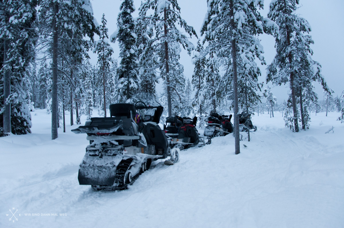 Im Schneemobil und Rentier Schlitten durch Lappland