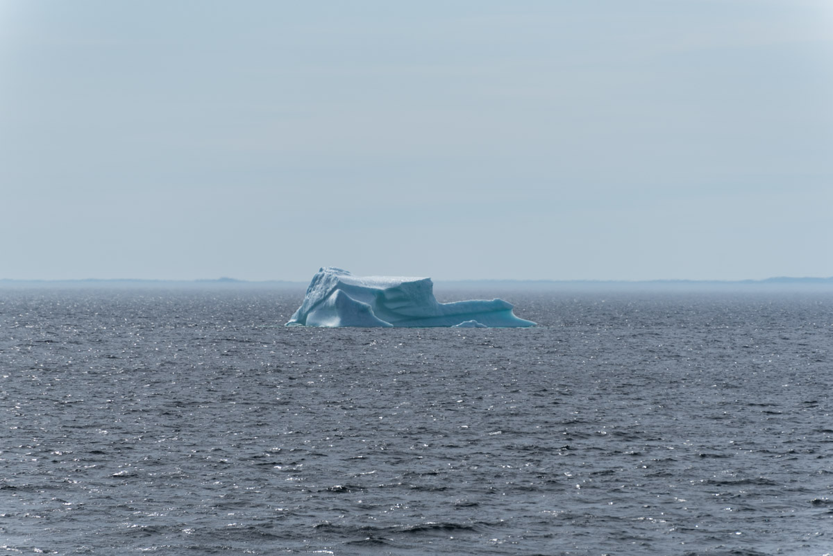 Eisberg in Bonavista