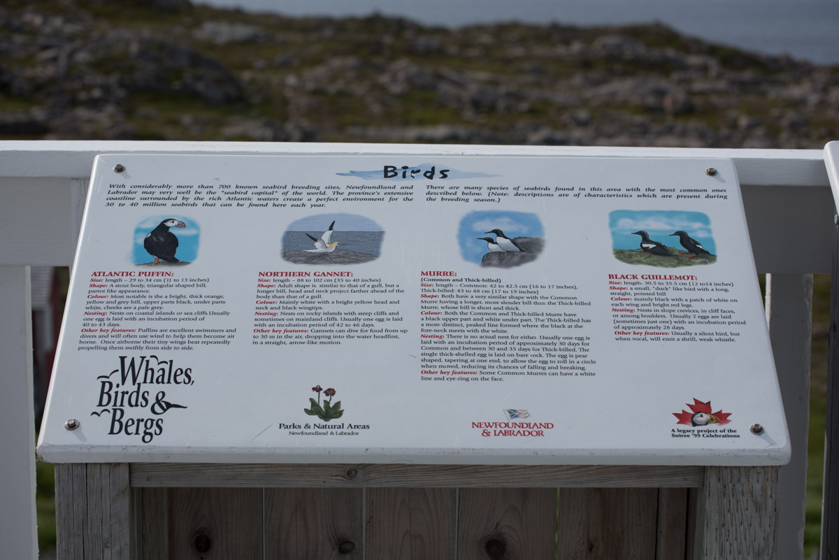 Am Cape Bonavista Lighthouse