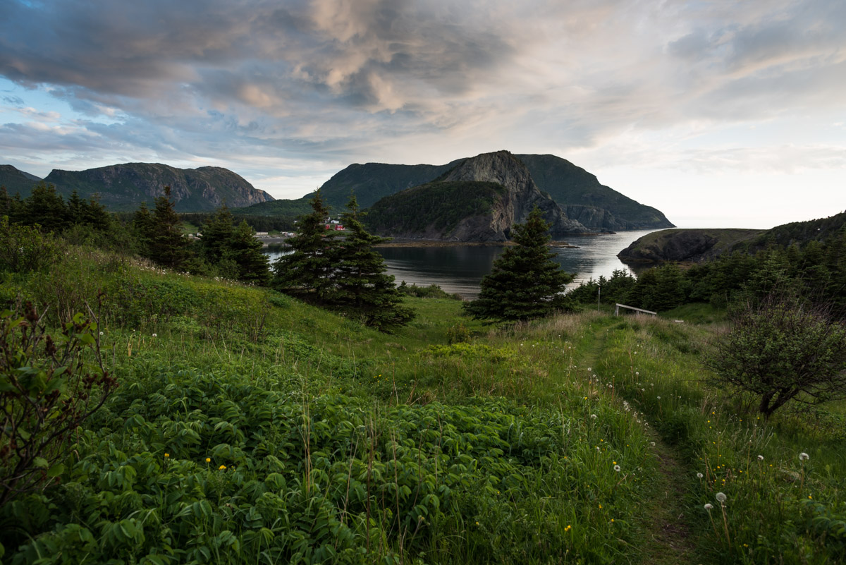 Bottle Cove