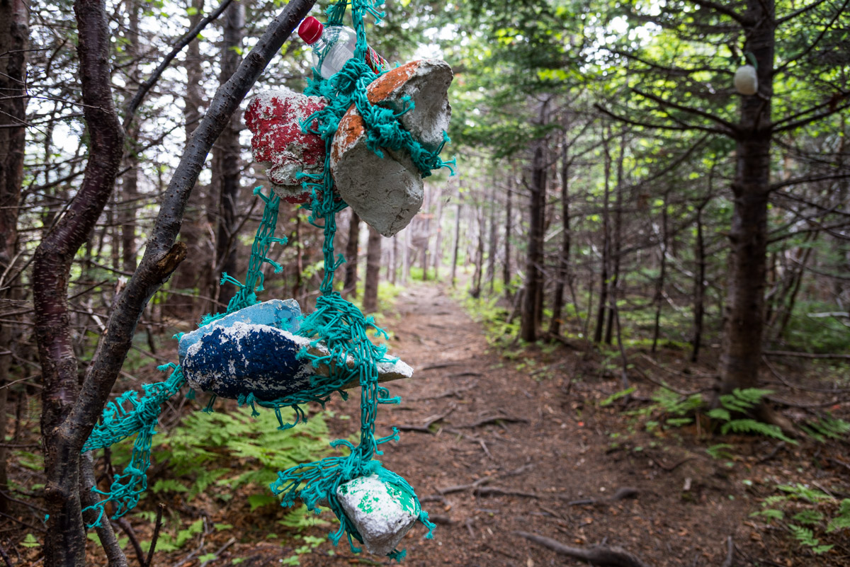 Cedar Cove Trail