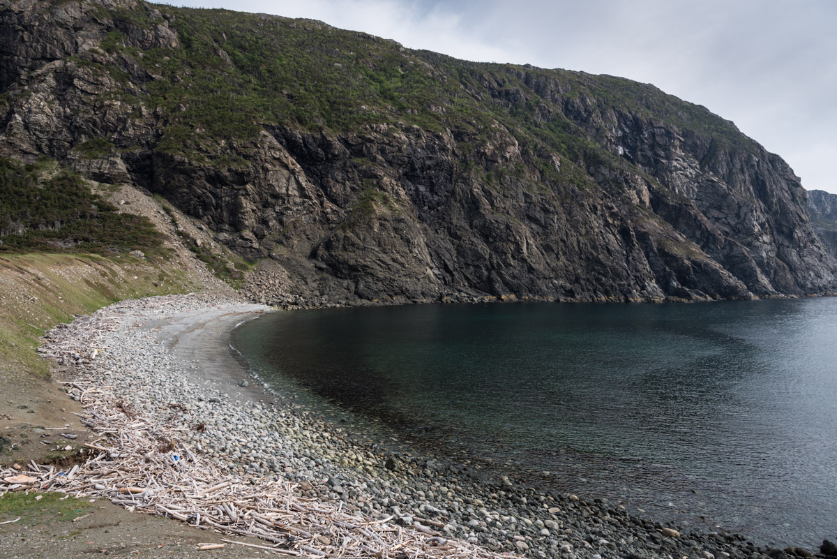 Cedar Cove Trail