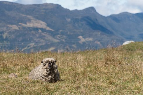 El Cocuy Nationalpark