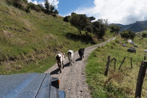 Stau im El Cocuy Nationalpark