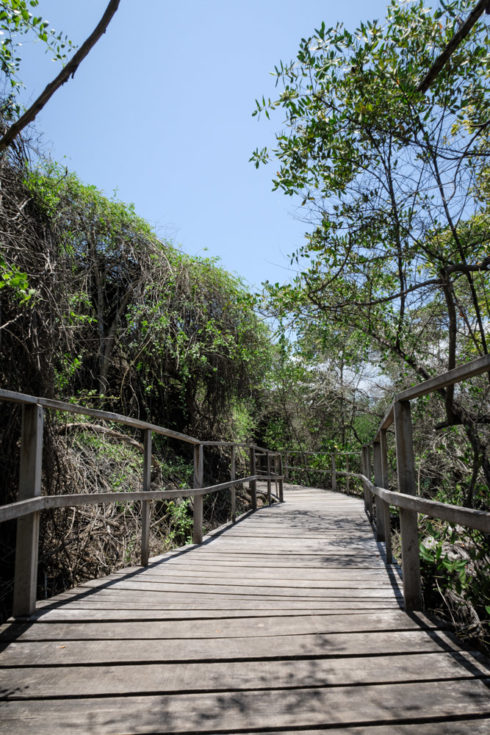 Laguna de las Ninfas