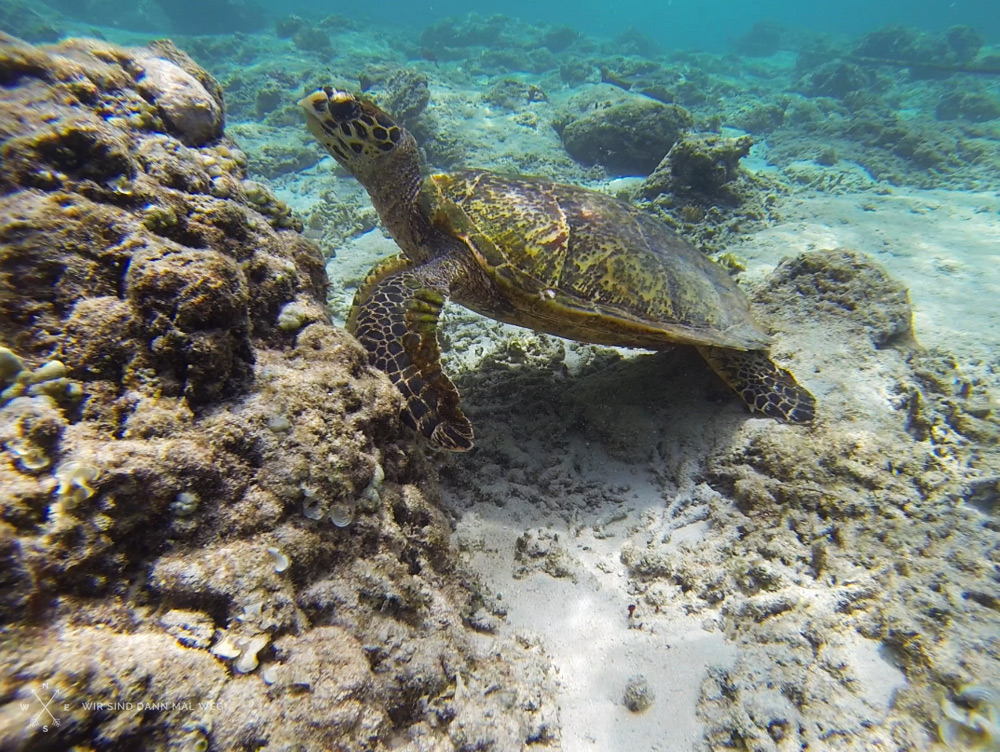 Die Gili Inseln – Indonesien #3