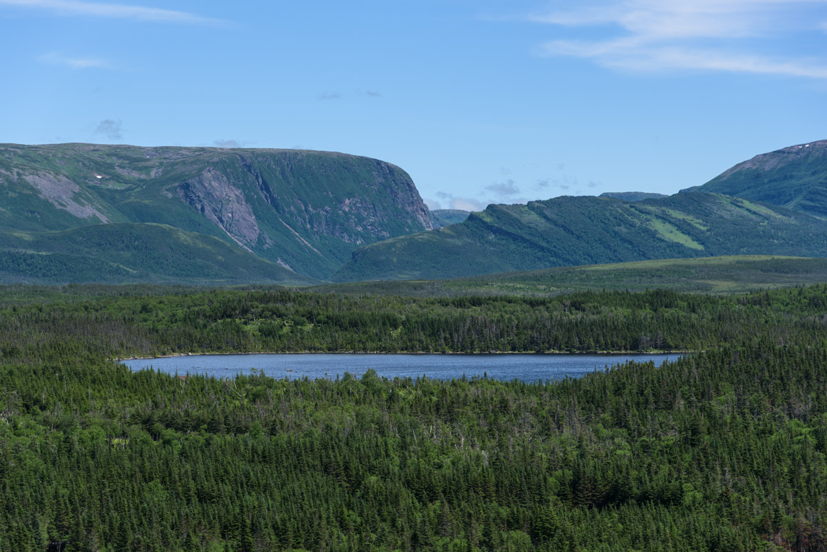 Berry Hill