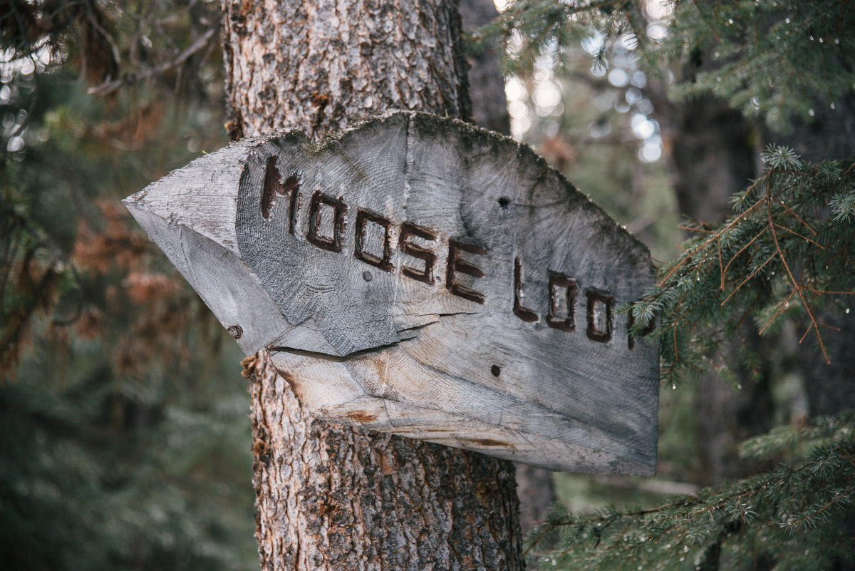 Moose Lake Wanderung