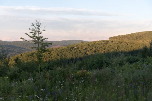 Aussicht von unserem Schlafplatz