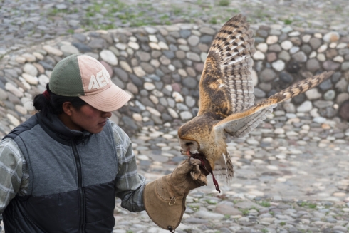 Parque Condor