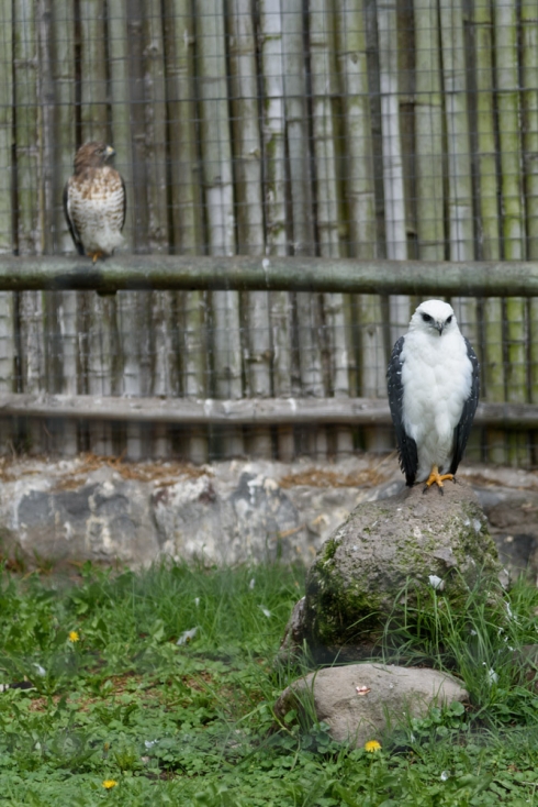 Parque Condor