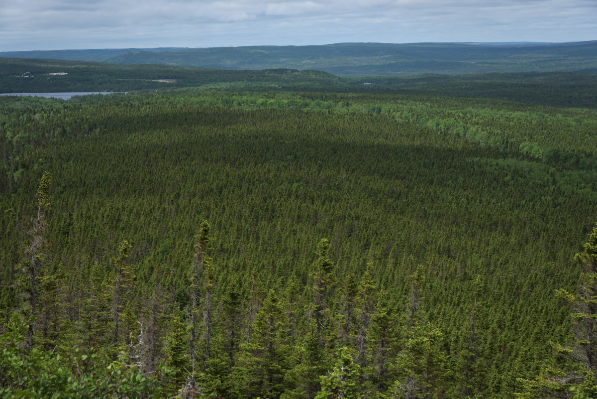 Ausblick vom Louil Hills Trail