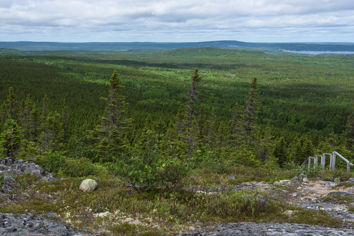 Ausblick vom Louil Hills Trail