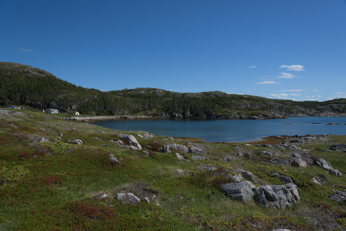 Lower Little Harbour Trail