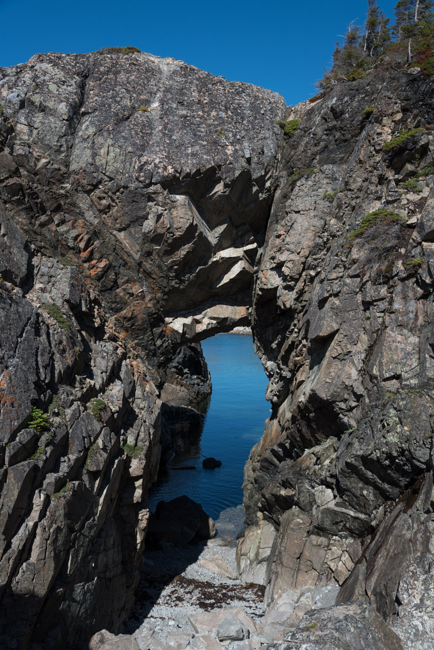 Lower Little Harbour Trail