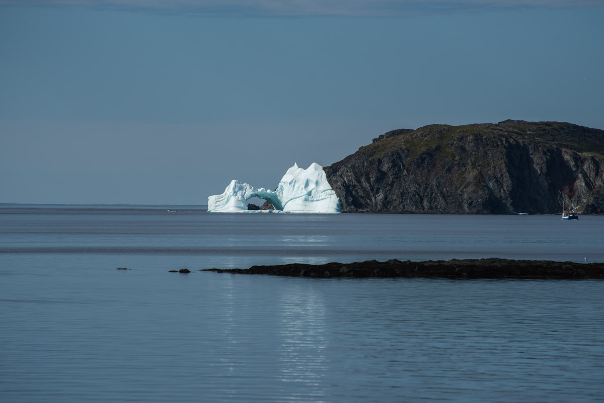 Eisberg in Twillingate