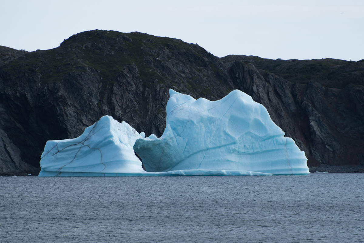 Eisberg in Twillingate
