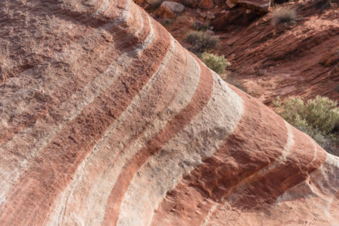 Fire Wave - Valley of Fire State Park