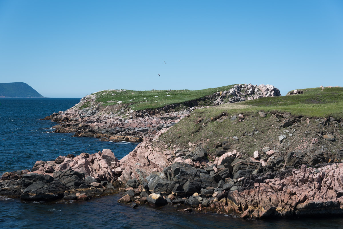 White Point